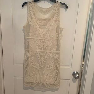 Express sheer dress with slip attached underneath